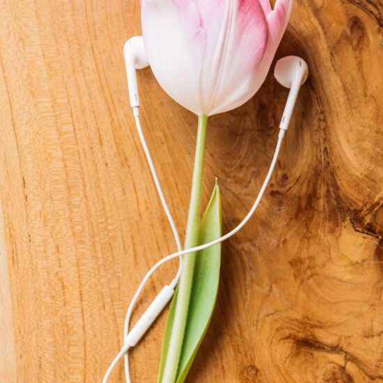 Tulpe mit Kopfhörern